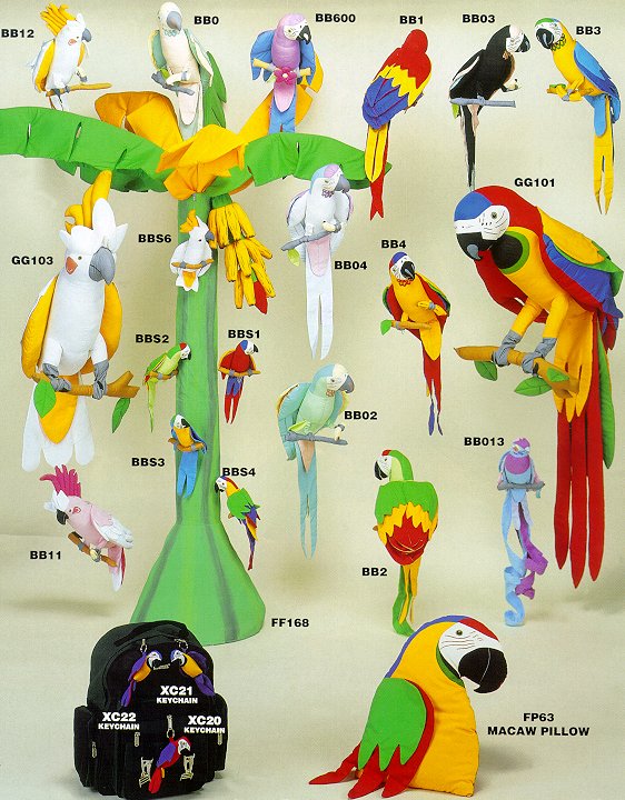 Exotic Rainforest Birds